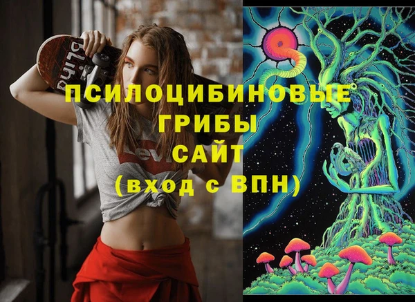 бошки Вяземский