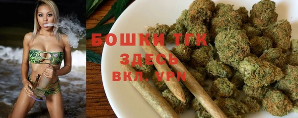 гашик Вязьма