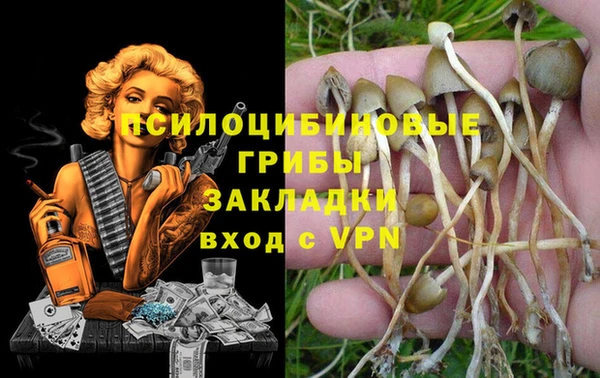 гашик Вязьма