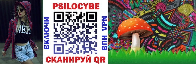 Купить где Сураж Псилоцибиновые грибы мицелий